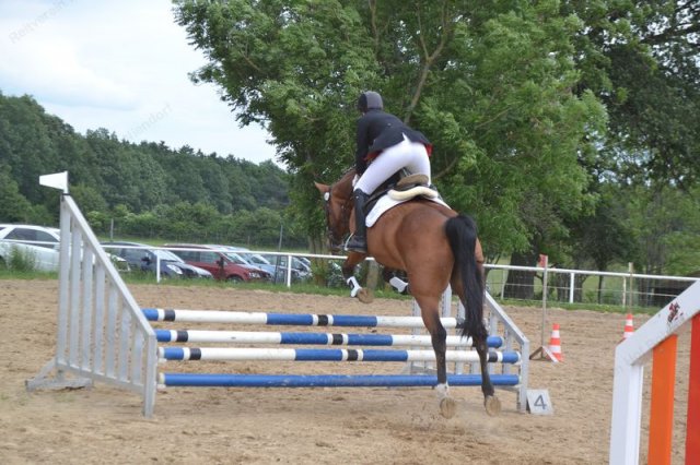 reitertag 2013 93